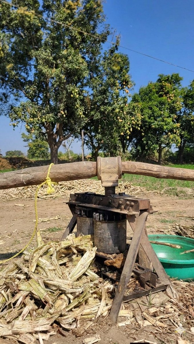 आज जब बाज़ारों में कांच के गिलासों में बर्फ़ डला हुआ गन्ने का रस मिलता है, तो मन बरबस ही गाँव के उन खेतों की ओर खिंच जाता है, जहाँ इस मशीन (कोल्हू) की आवाज़ गूँजा करती थी।
यह महज़ लोहे और लकड़ी का ढांचा नहीं था, बल्कि पूरे परिवार के पसीने और एकता का प्रतीक था। बैलों के घूमने की