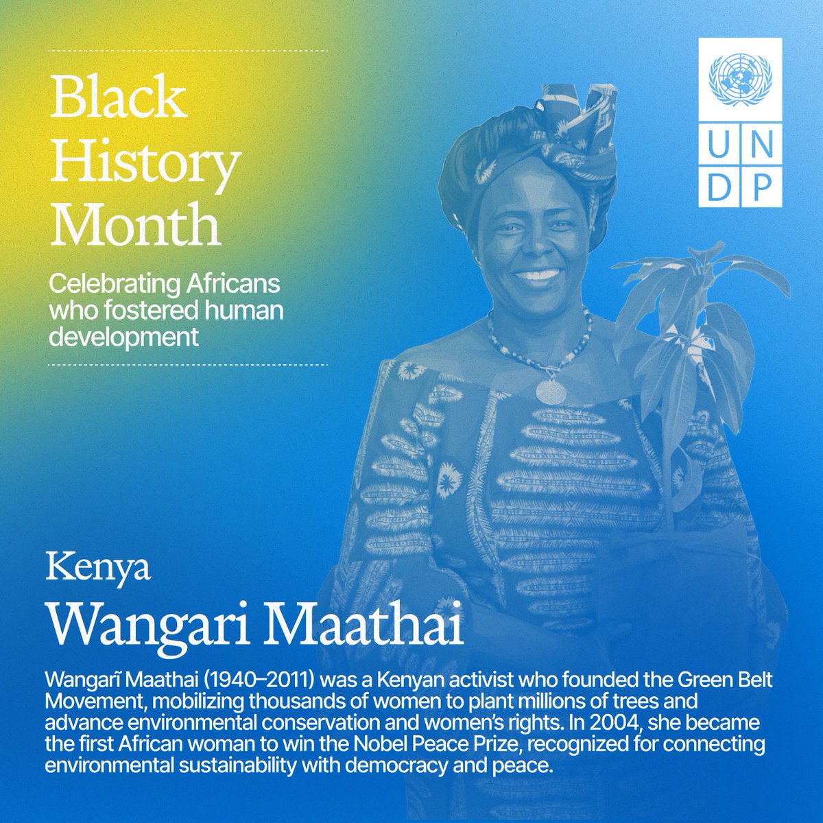 UNDP Africa tweet media