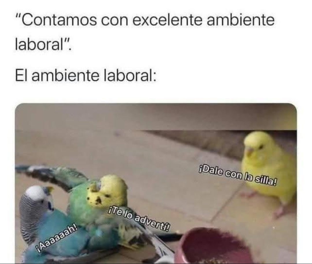 Ana_LaPatata (@ymuchosmemes) on Twitter photo 