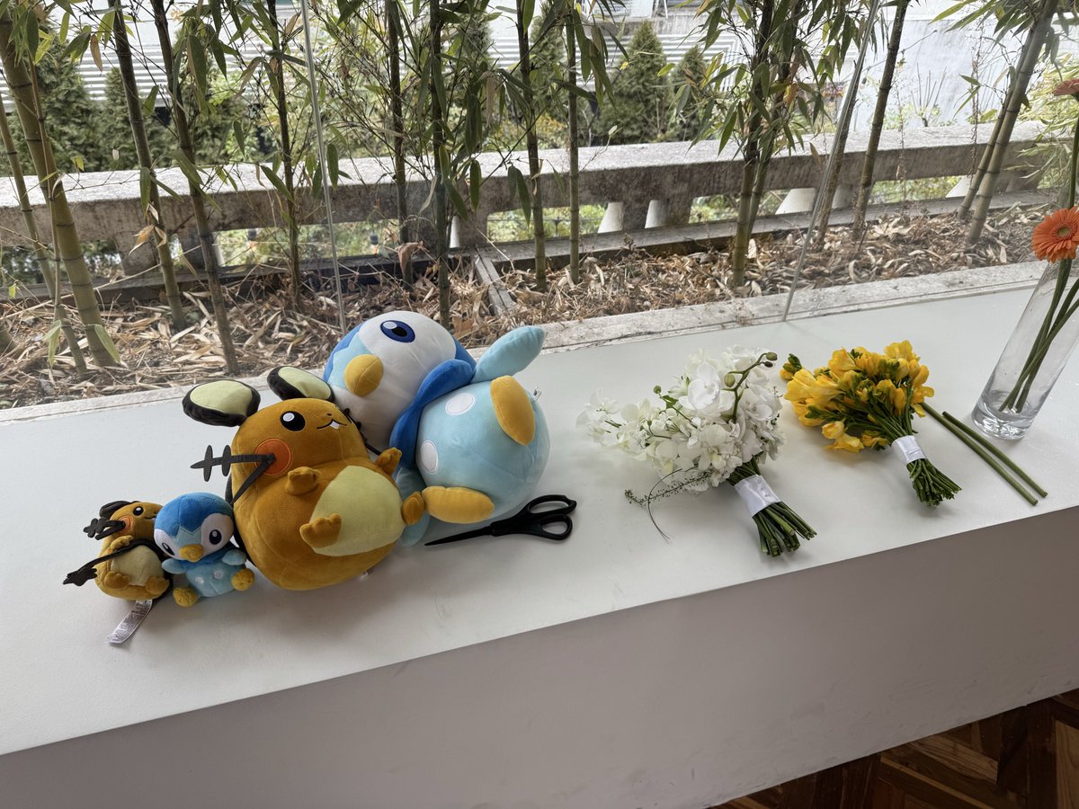 cocoballman tweet media