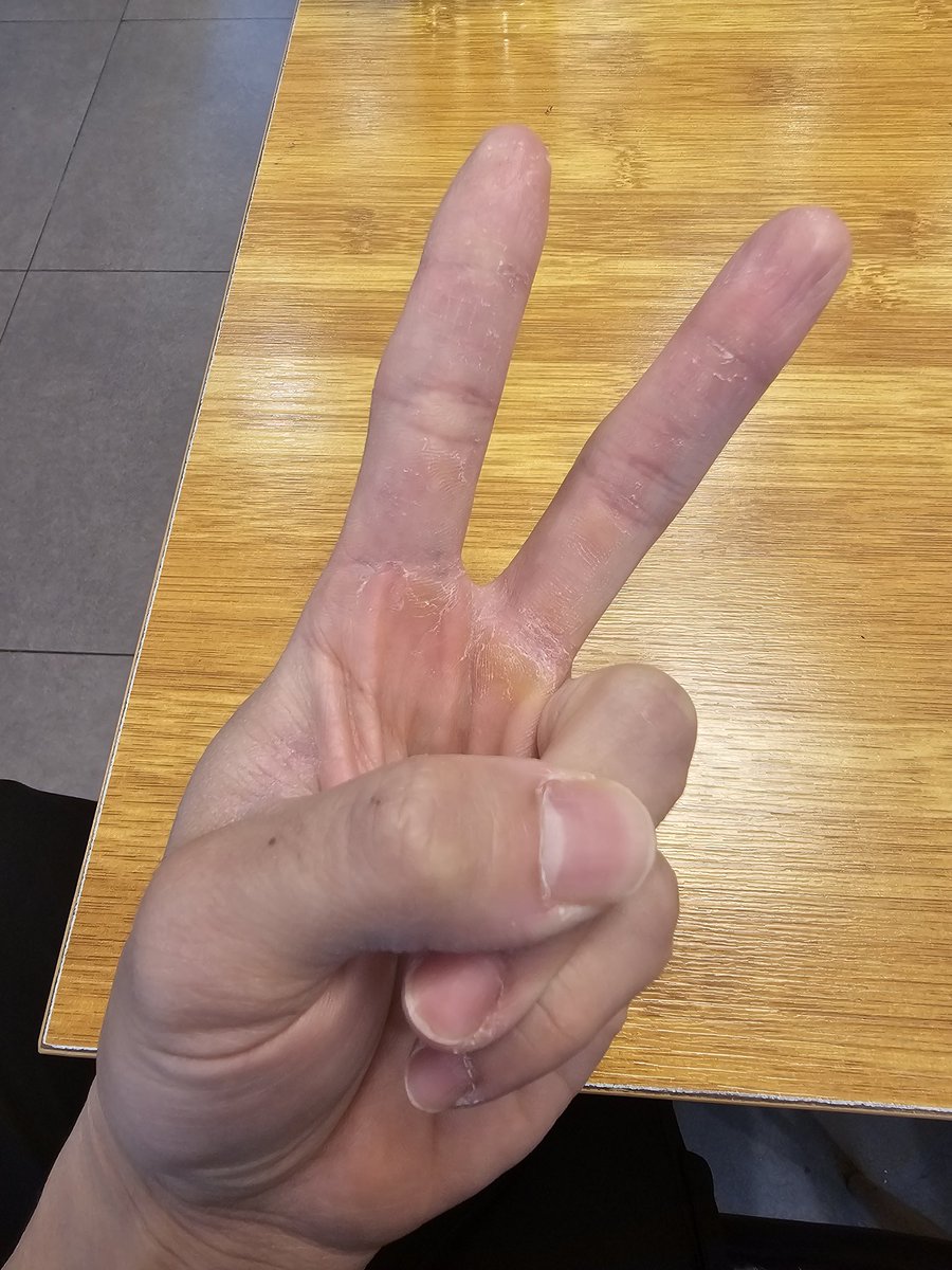 게임하는 진도 tweet media