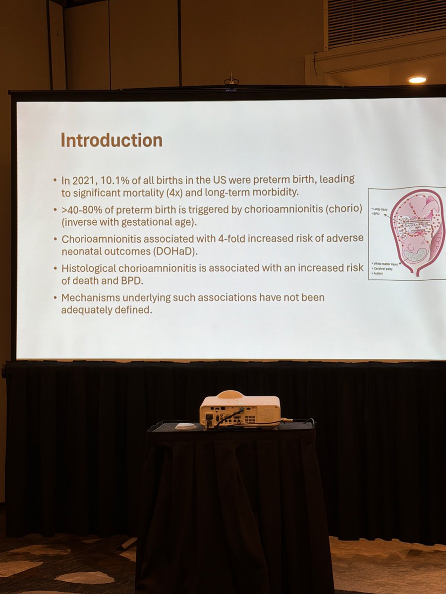 Katie Chetta tweet media