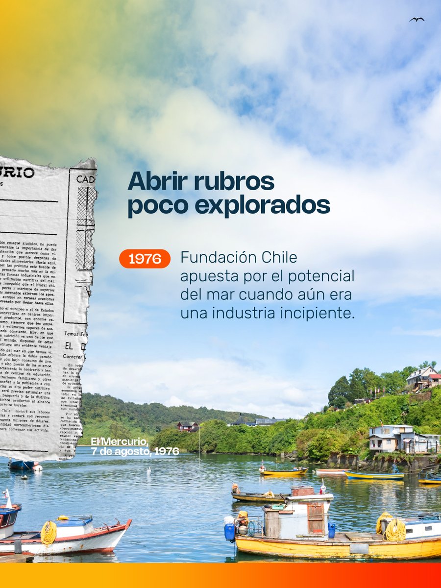 fundacionchile's tweet photo. 🤩 Nuestro legado en el tiempo | Acuicultura 🌊.

Crear valor e instalar capacidades está en nuestra naturaleza. A 50 años de nuestro nacimiento, como Fundación Chile queremos compartir lo que ha sido parte de nuestro legado. https://t.co/qHCRHpY8DE