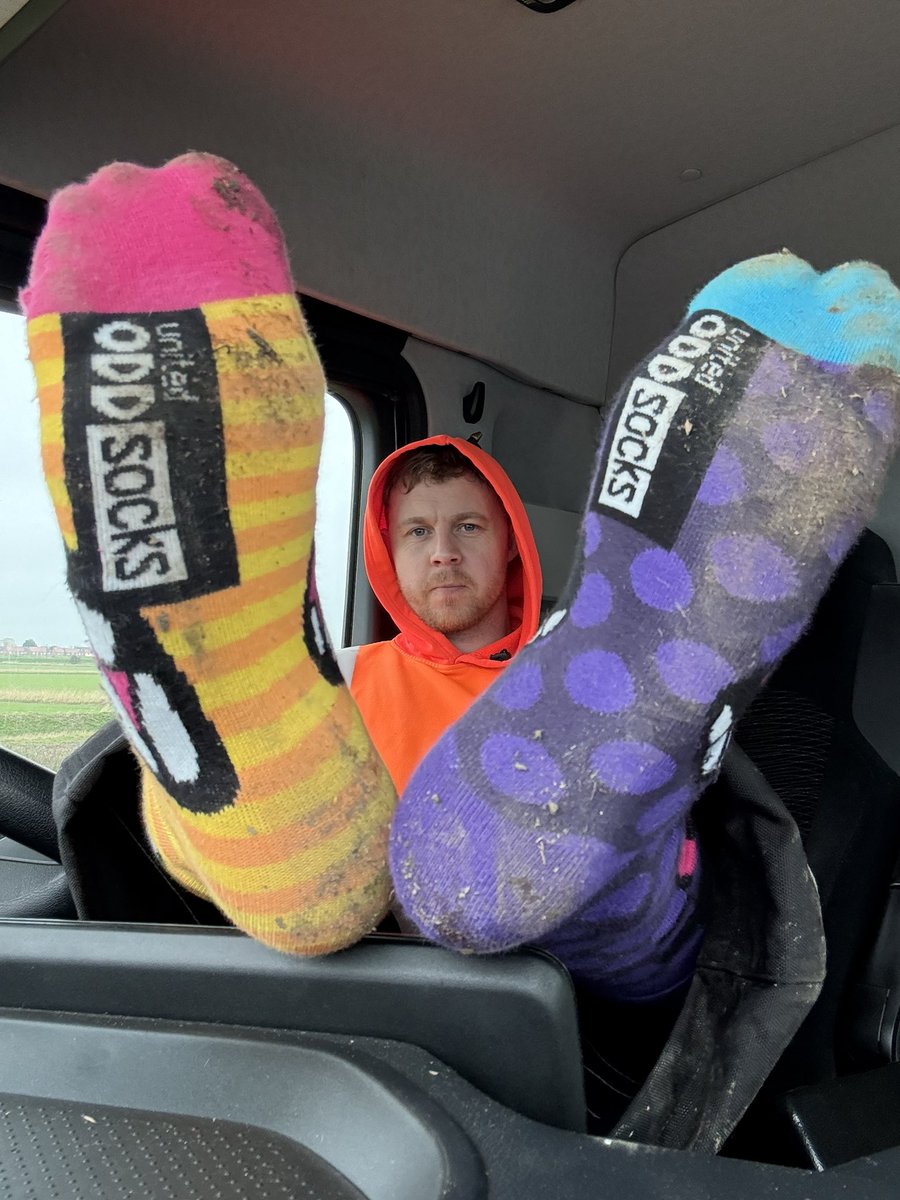 masterlloyd tweet media