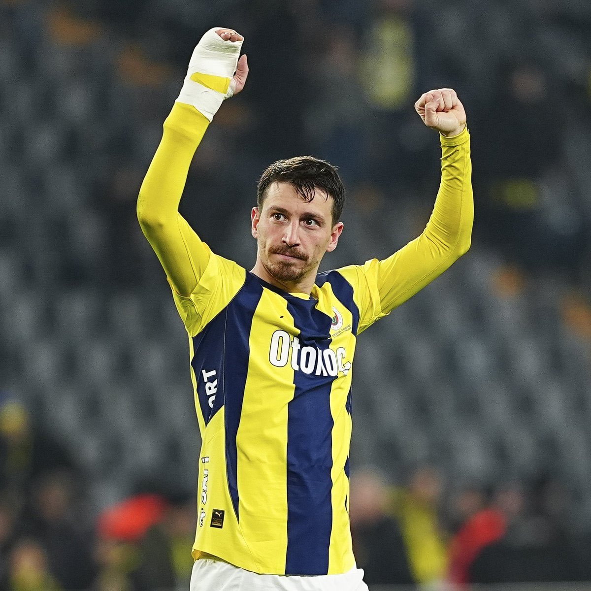 M.Kemal Danabas tweet media