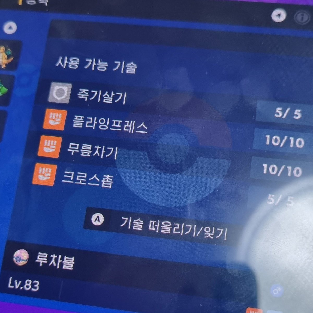 용사코직 tweet media