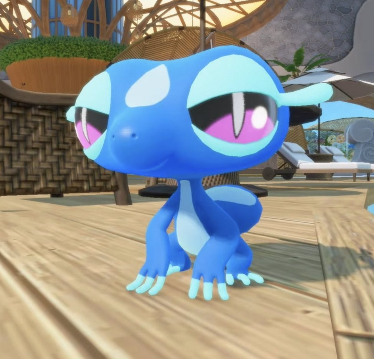 penguitt 🐧 tweet media