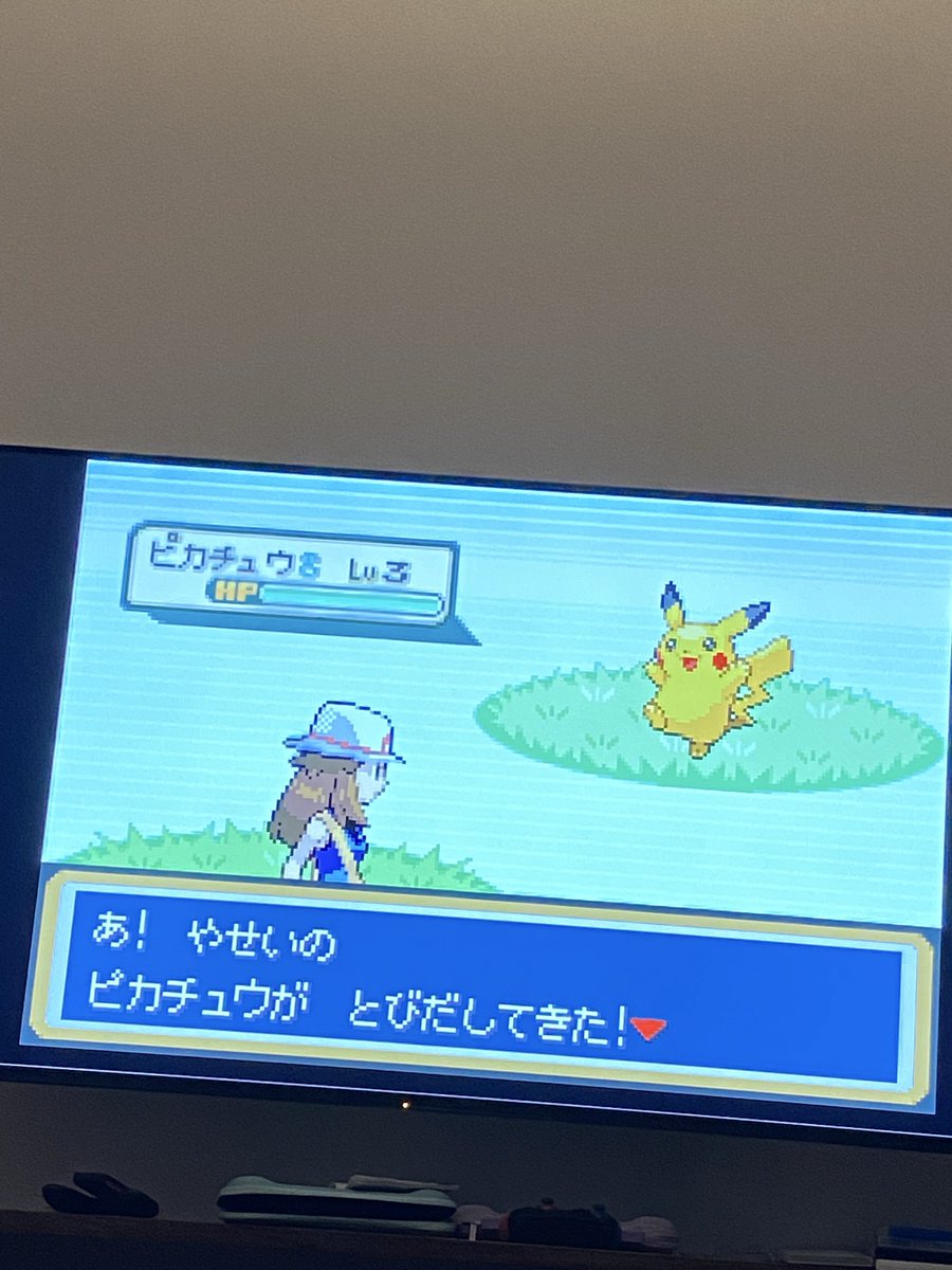 MdrnetToke's tweet photo. 倒してもうた https://t.co/Mc5PC3oAaD