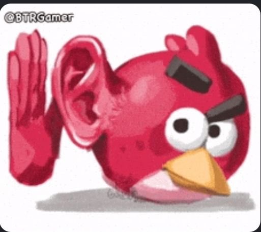 retention_gmd's tweet image. since y’all saying browt looks like an angry bird can someone make the fucking angry bird ear meme with him lmao