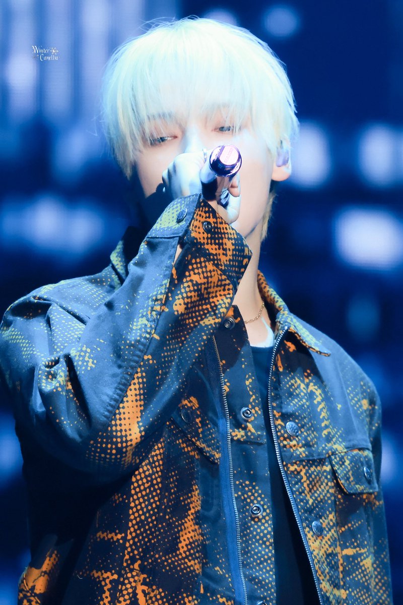 WinterCamellia tweet media