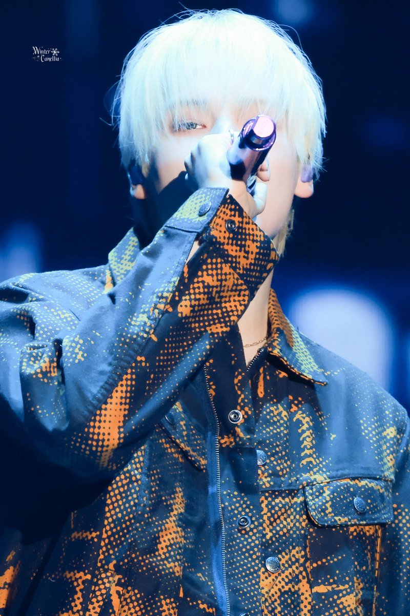 WinterCamellia tweet media