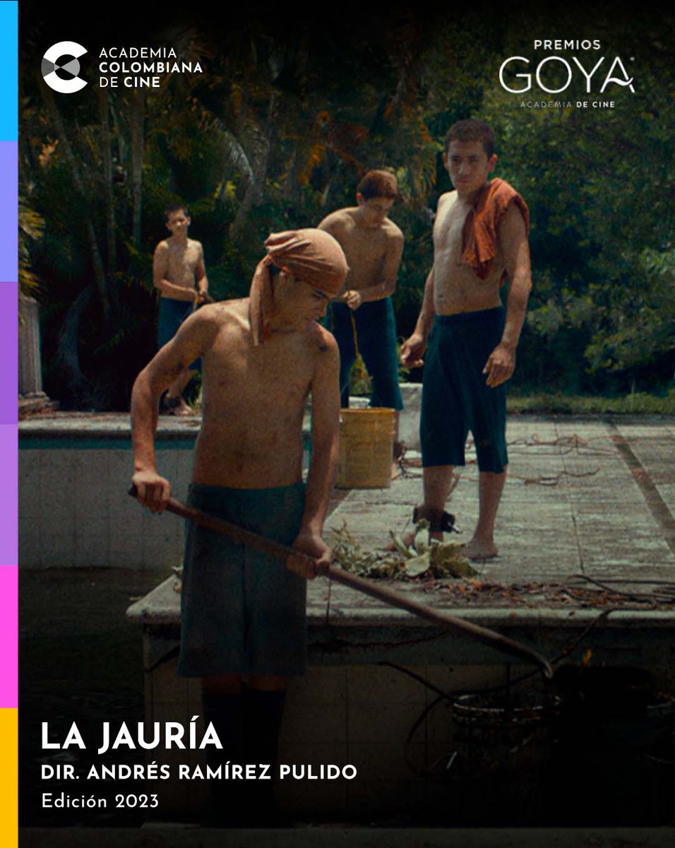 Academia Colombiana de Cine tweet media