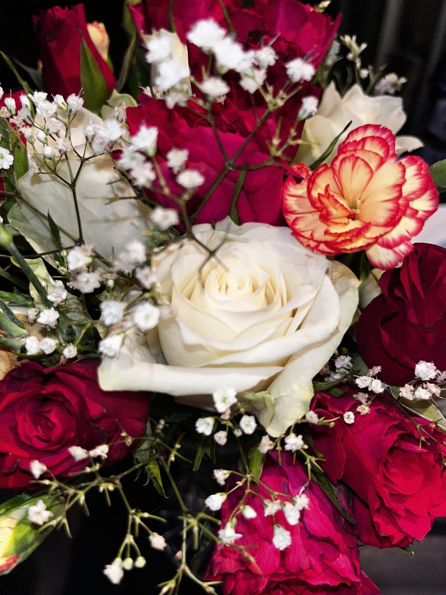 ₊⋆♱˚ ཐི Mysty Kitty ཋྀ ˚♱⋆₊ tweet media