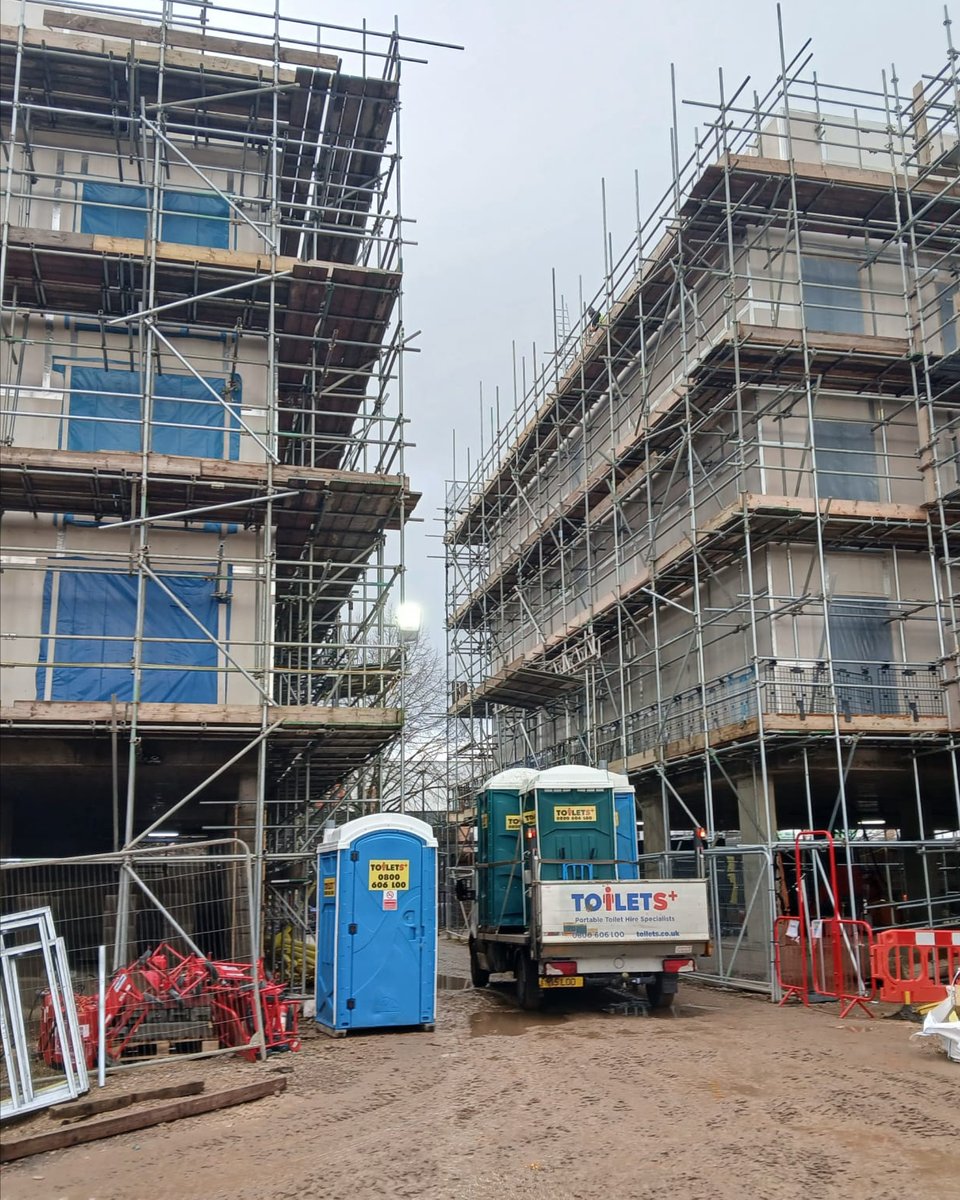 Toilets+ Limited tweet media