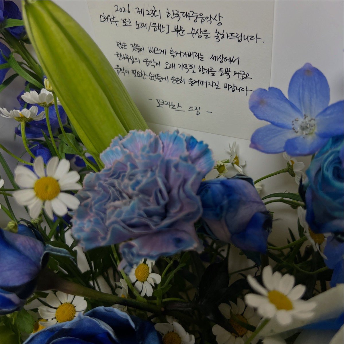 권나무 Kwontree tweet media