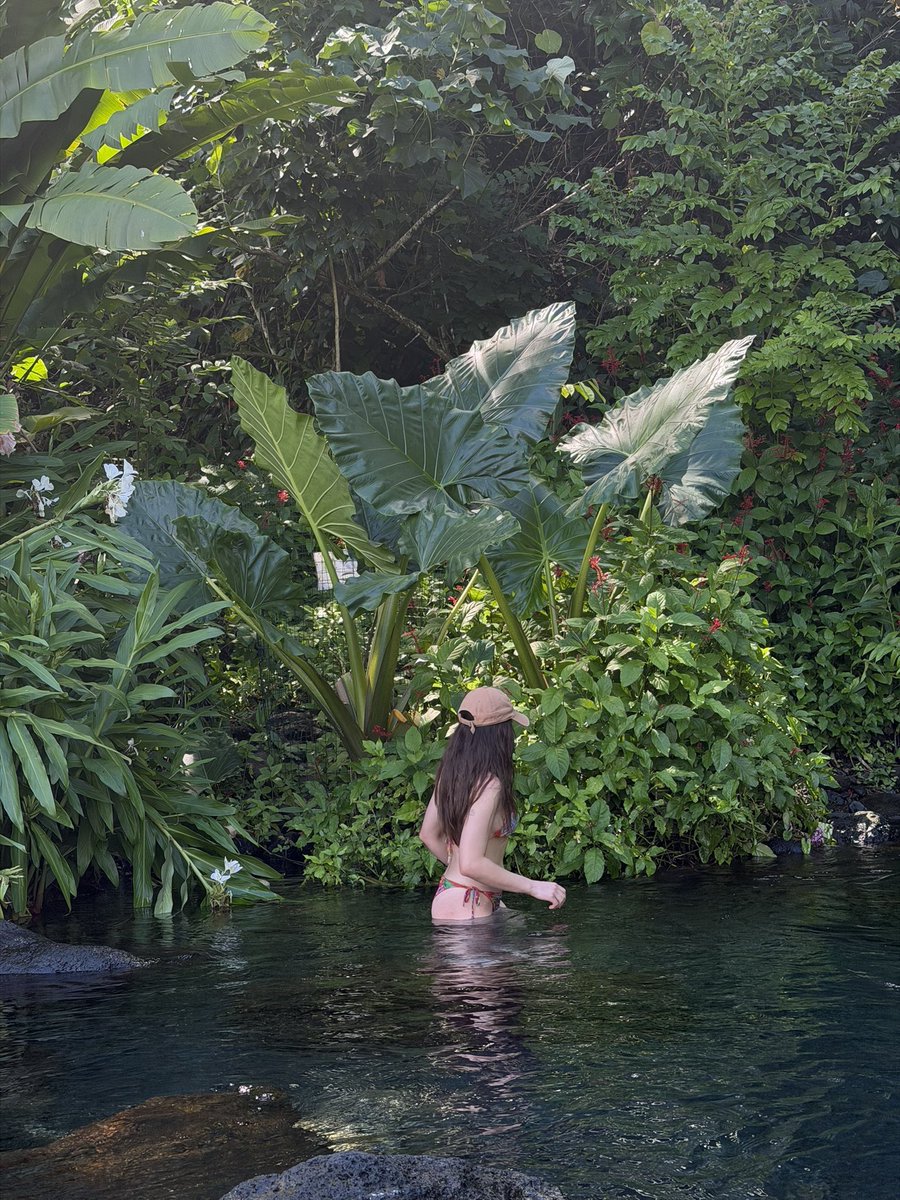 Kaatsup's tweet photo. Tahiti 🌺 https://t.co/DG4YF5wcSf