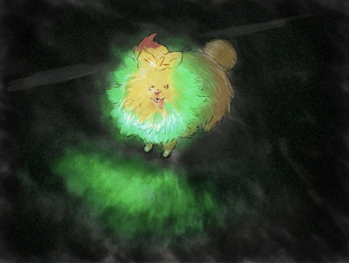 肉赤子ちゃん (@chigatarinee) on Twitter photo 