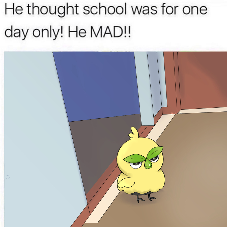 Viz 💤 💕 tweet media