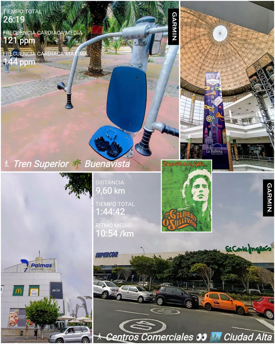 BiciGranCanaria's tweet image. 🏋🏻25' 🌴 en el Parque
🚶🏻‍♂️9k. 🏙️ por Ciudad Alta
🏬#7Palmas
🎧#GilbertOSullivan
☁️#MeteoGC 🕚🌡️20°
#LasPalmasDeGranCanaria
#GranCanaria
#Caminata #Caminar
#Walking #Walk
#Hike #Hiking #Senderismo
#MuscleExerxises #UpperBody 
#GYM #GYMworkout
#DIABETESTIPOFREE
#MUÉVETEFRENTEALCÁNCER