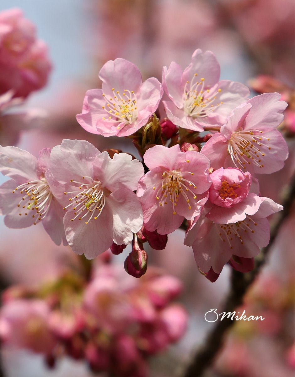 2/28 土曜日🌸 おはようございます💙 2月も今日で終わりですね あっ