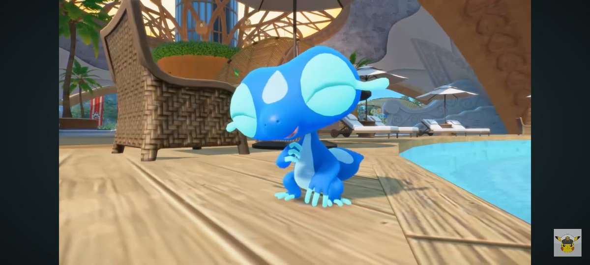 This gecko is my new best friend