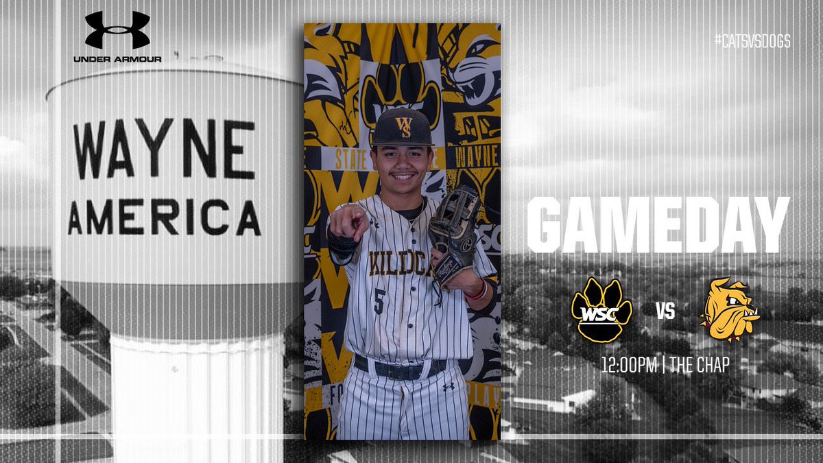 Wayne State Baseball tweet media