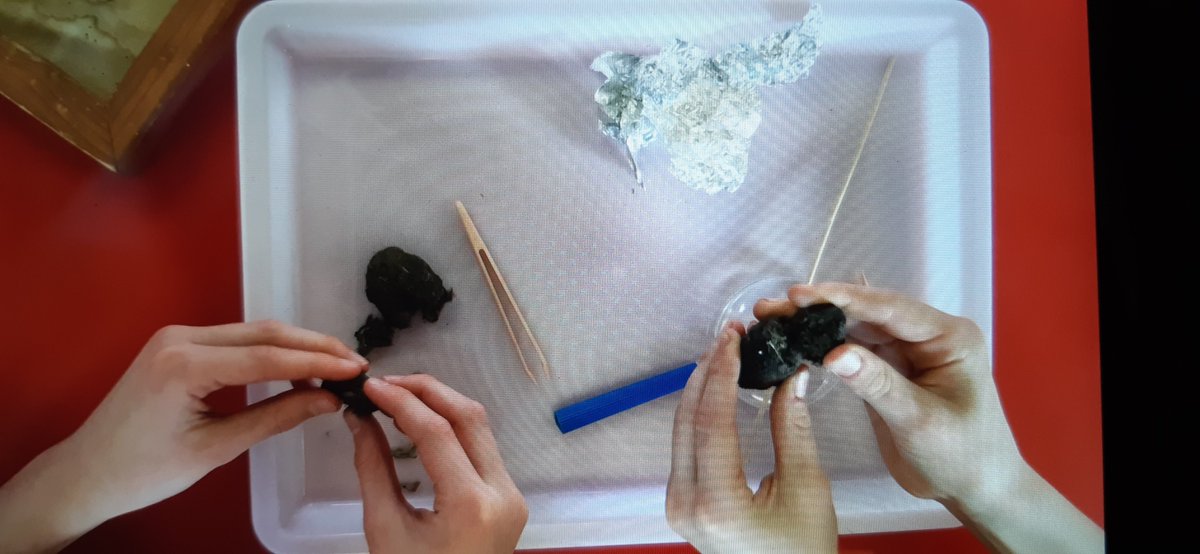 Rothiemay Primary School tweet media