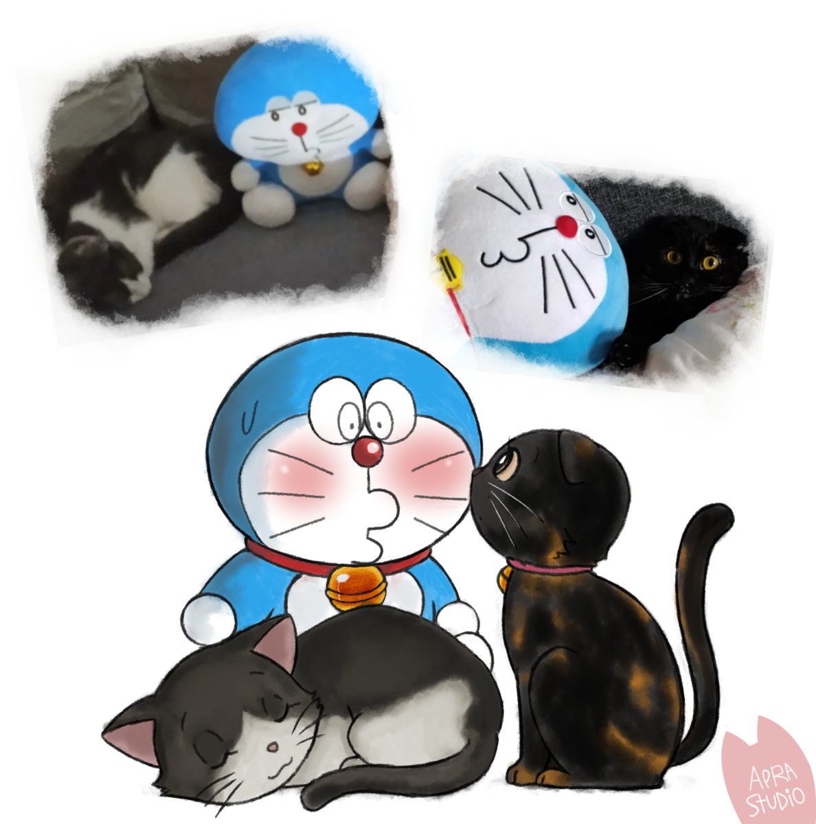 Apra Studio tweet media