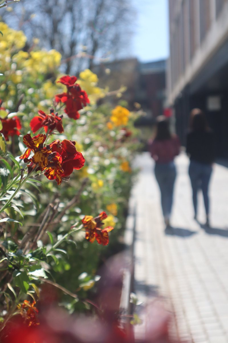 Princesshay tweet media