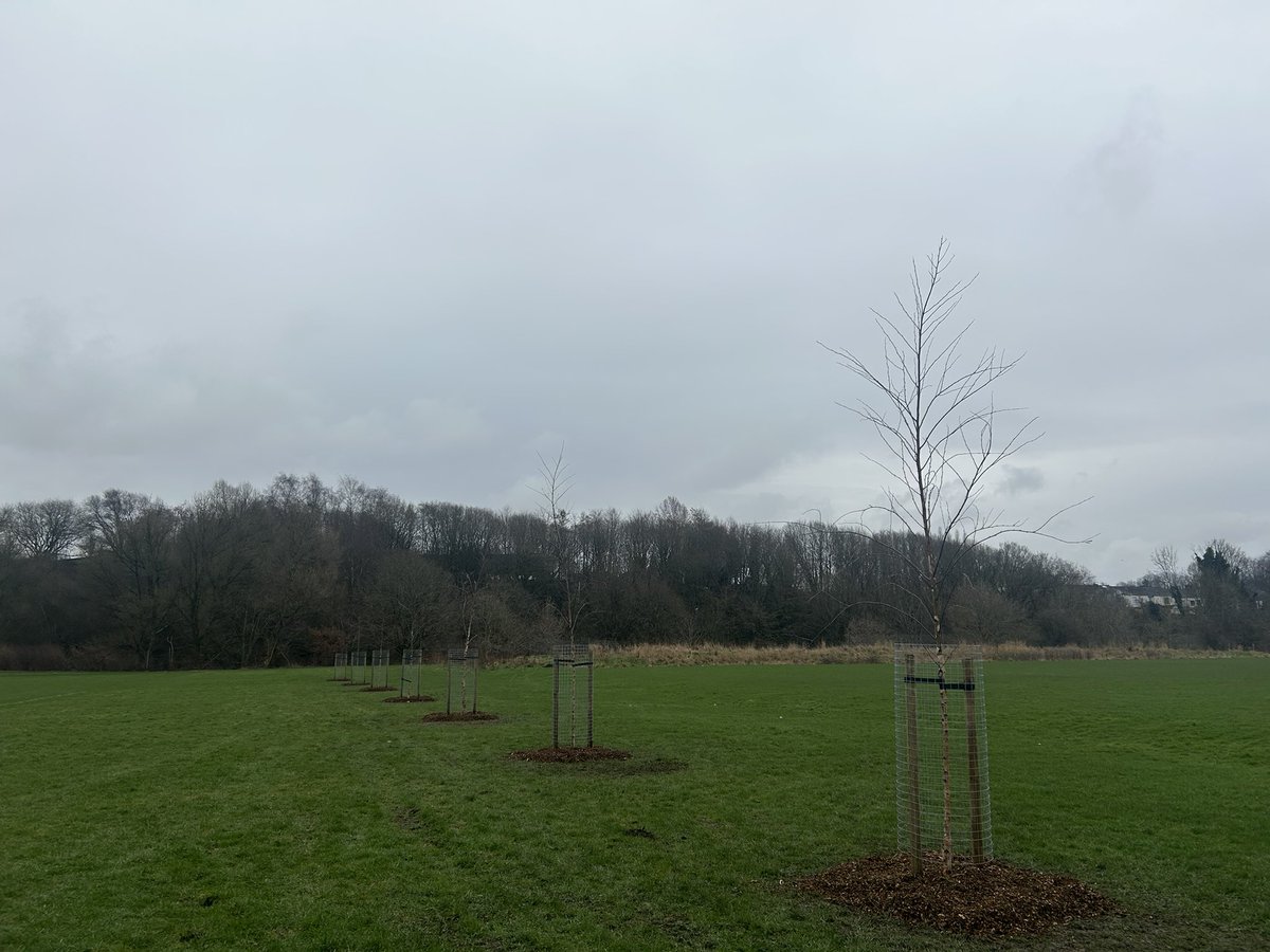 Goshen Football Foundation tweet media