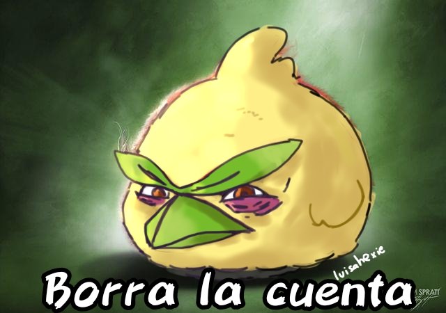 Sin duda el pollo es el mejor