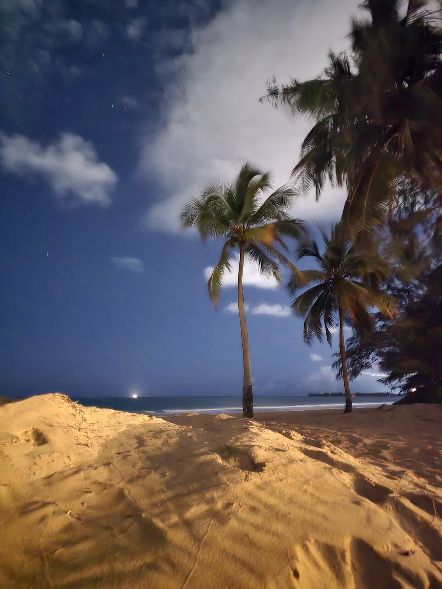 Josh Rock tweet media