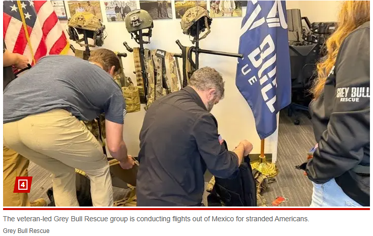 Grey Bull Rescue tweet media