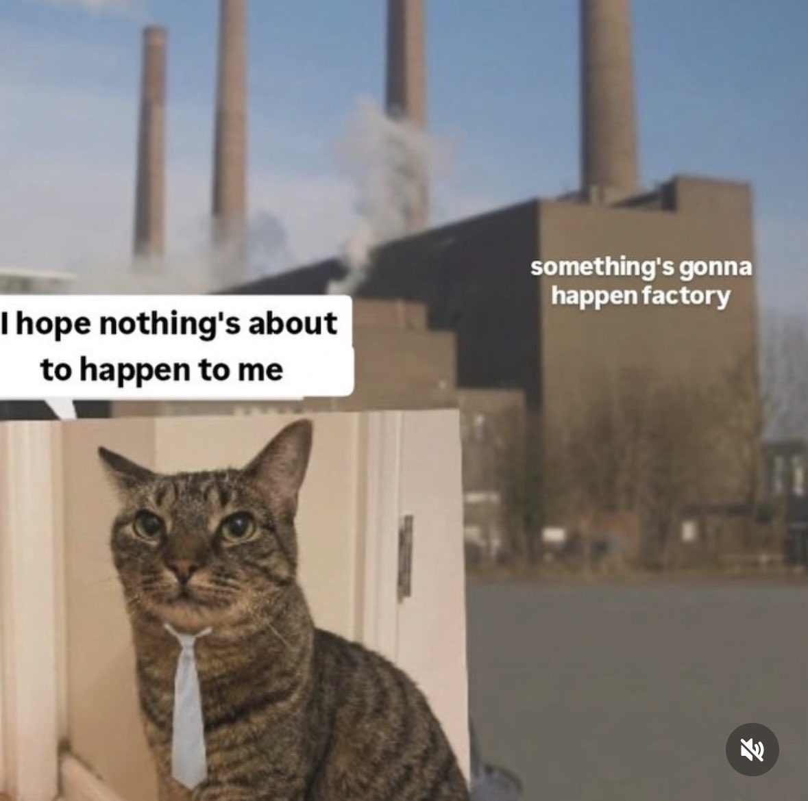 that one mitski album