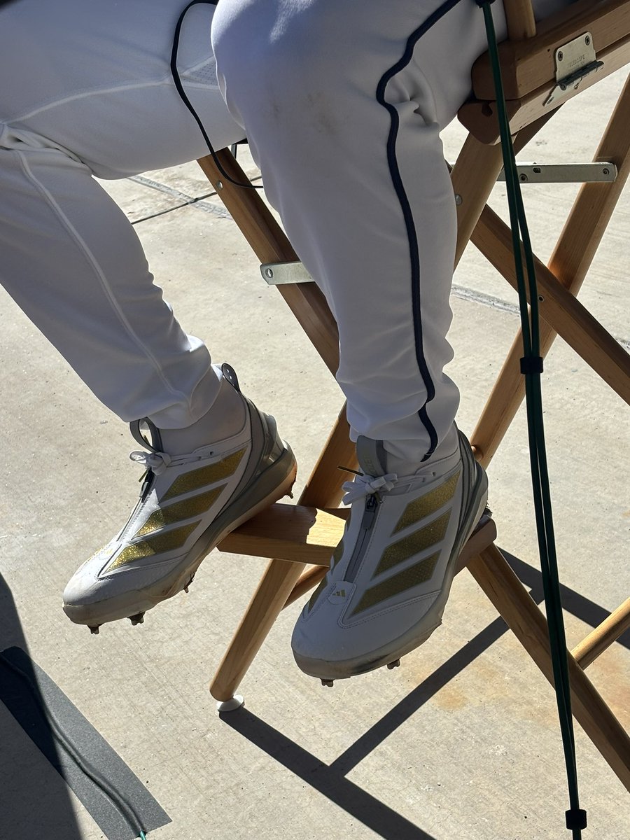 Maura Dooley tweet media