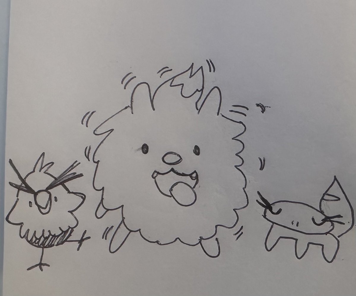 Kaan Şen tweet media