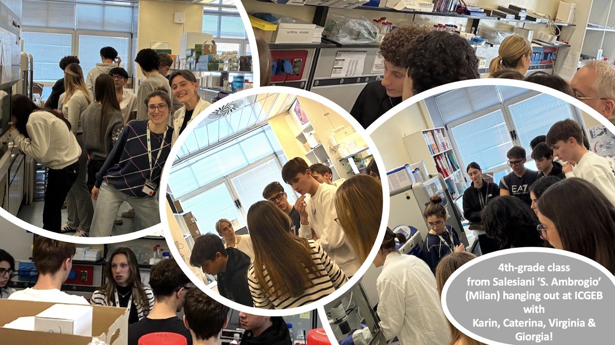 ICGEB's tweet image. Yesterday, ICGEB opened its lab doors to a group of students for a behind-the-scenes look at life sciences in action 🧬🔬
From meeting our scientists to seeing how research happens in real time, they experienced science beyond the classroom. 🧪✨
#STEM #ICGEBOutreach #LifeScience