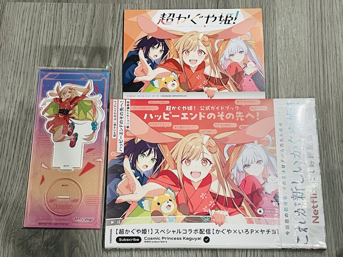 メイト行ったらガイドブック最後の1冊残ってた！！！！！ ついにゲット