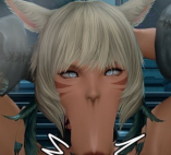 ✨ slug ✨ tweet media