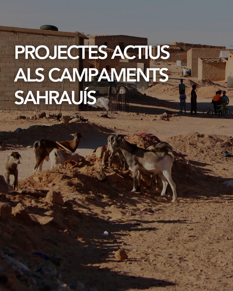 FonsCatalàCooperació tweet media