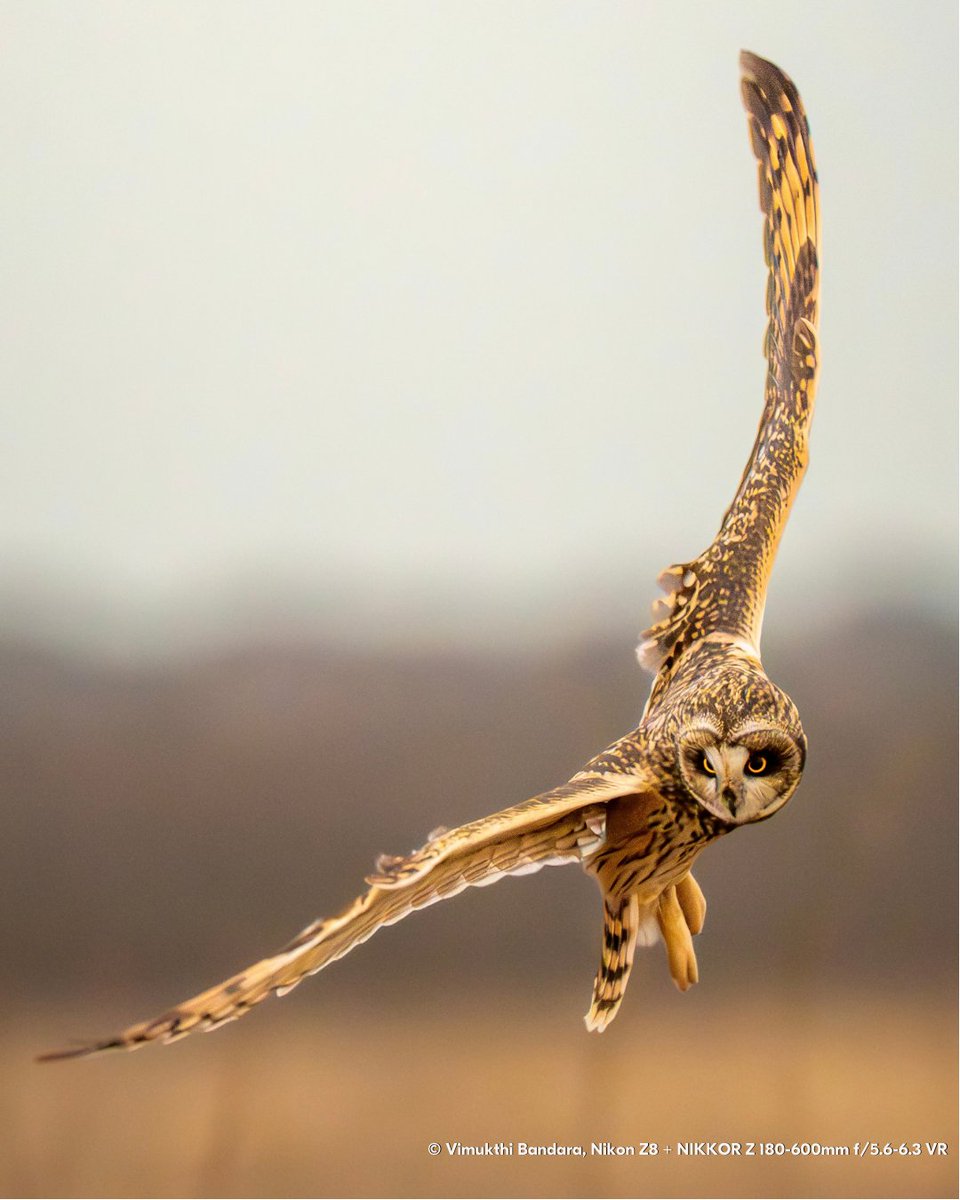 NikonUSA tweet media