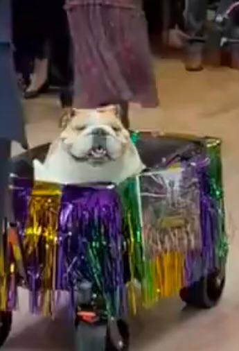 Boringtime tweet media