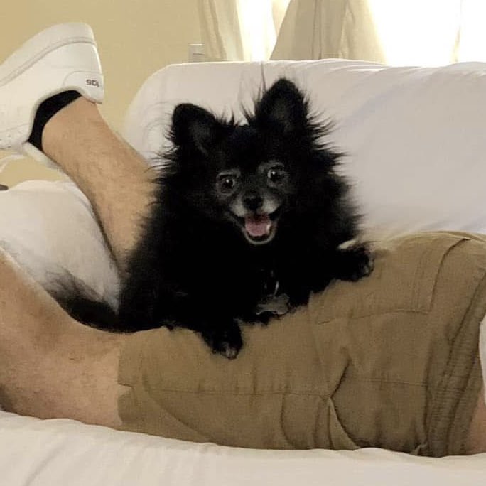 ROBERT 🔪 JOSEPH tweet media