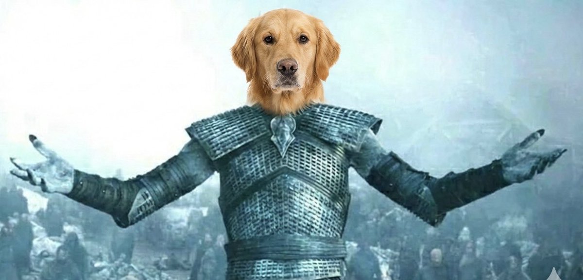 Pengu Lives tweet media