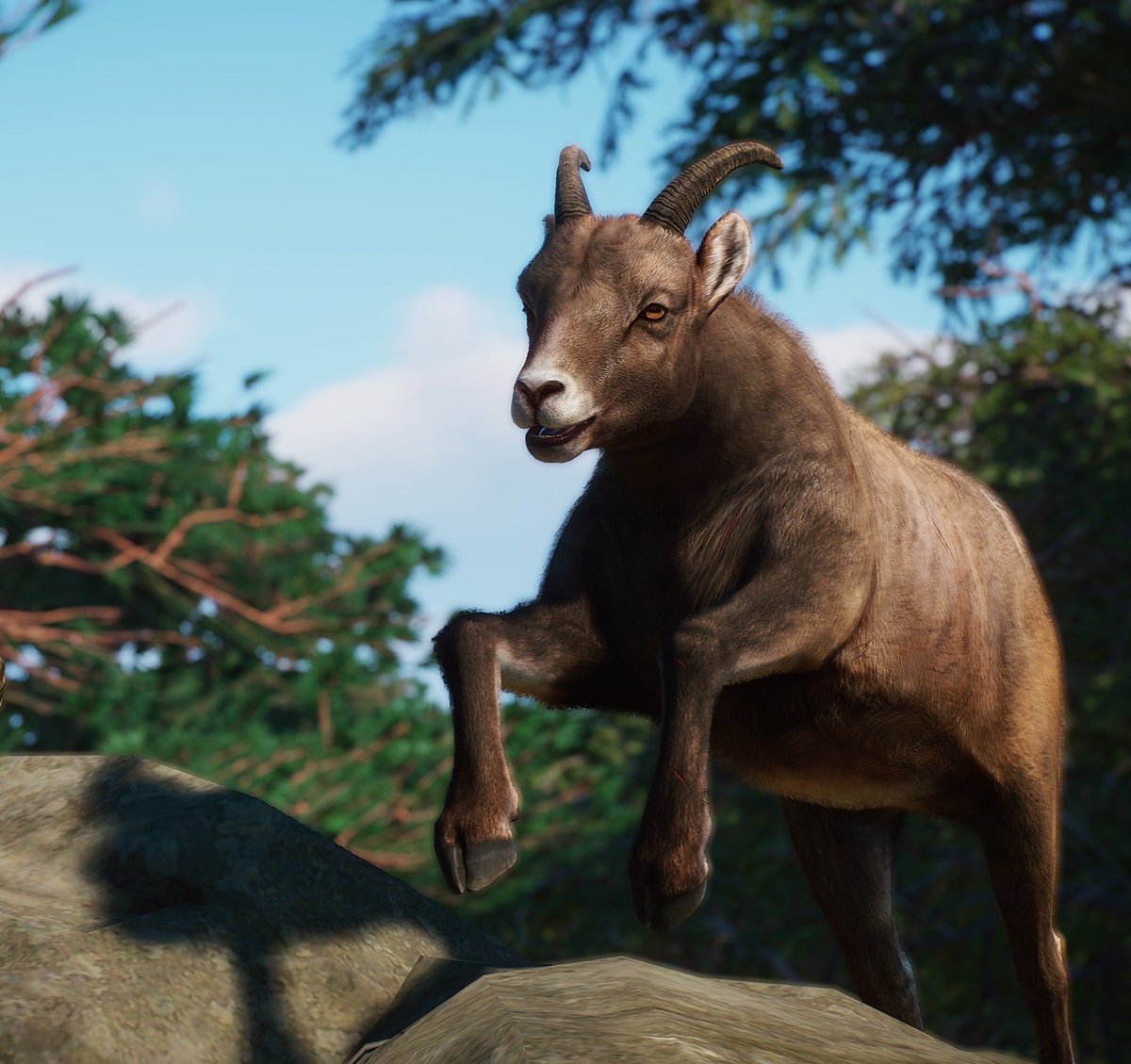 Cesar Creates tweet media