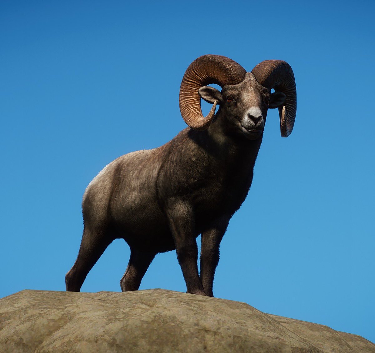 Cesar Creates tweet media