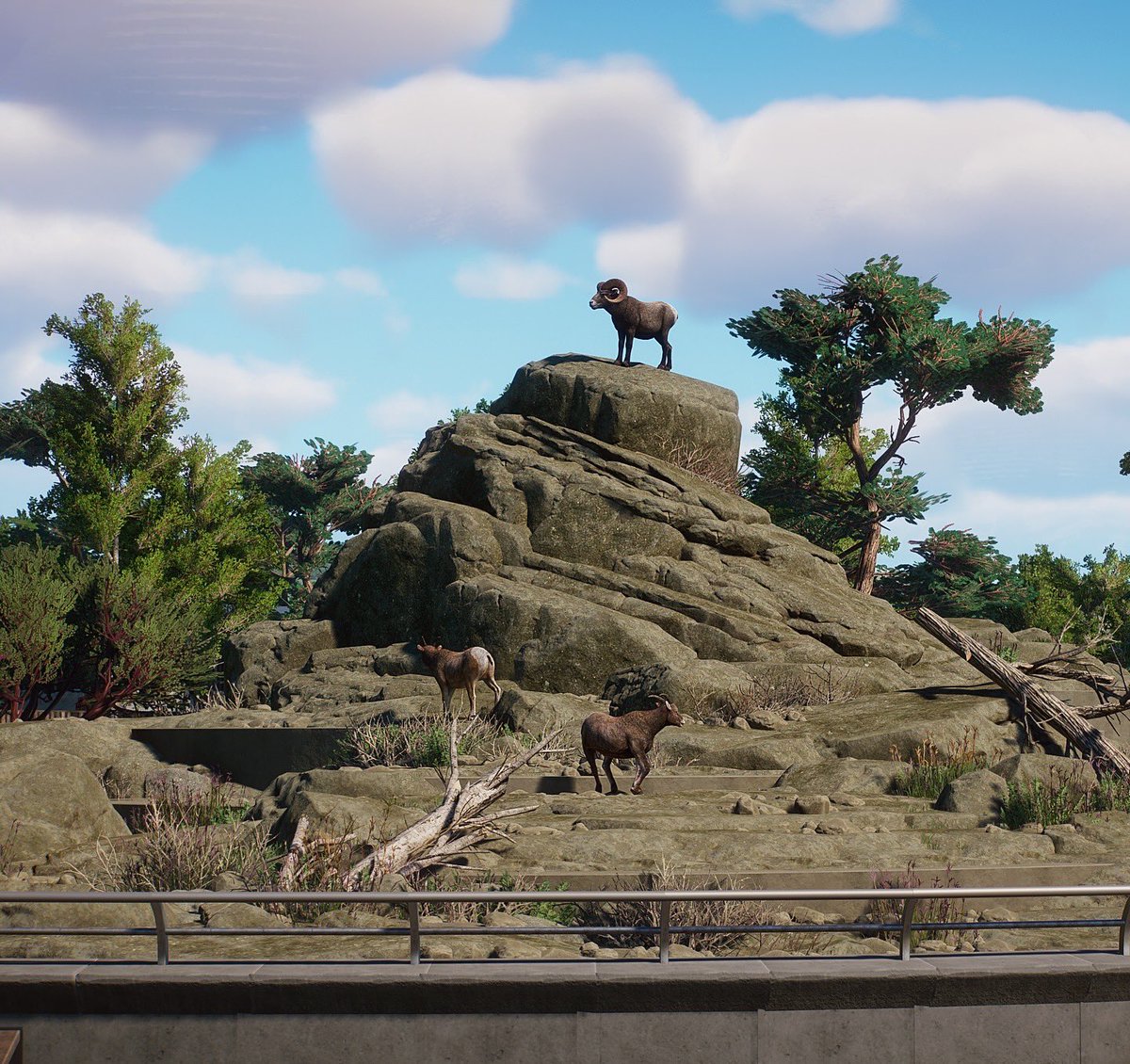 Cesar Creates tweet media