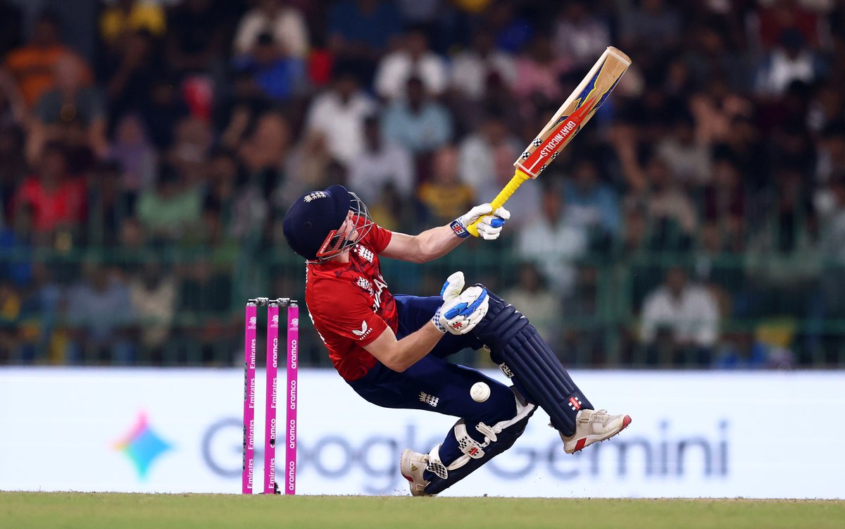 Robert Cianflone tweet media