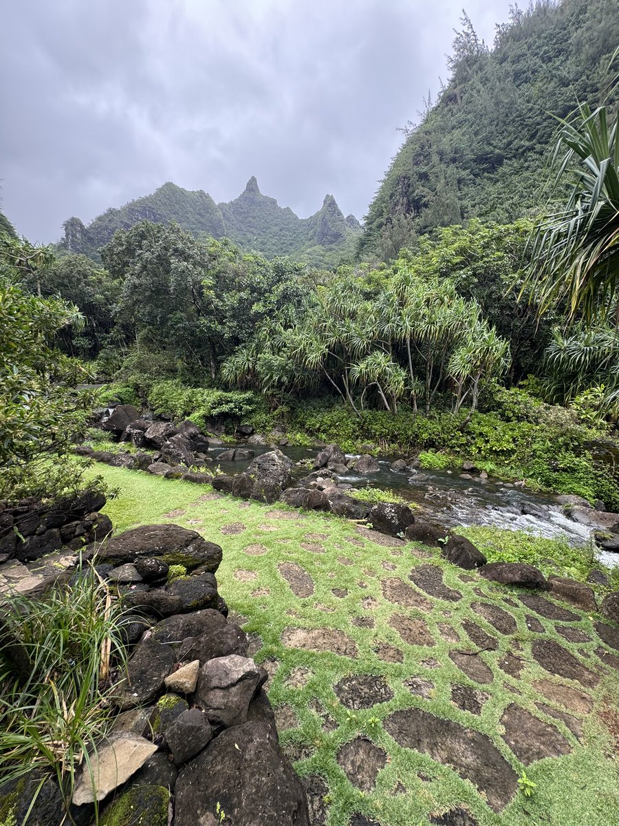 🎀 planet clarke 🎀 tweet media