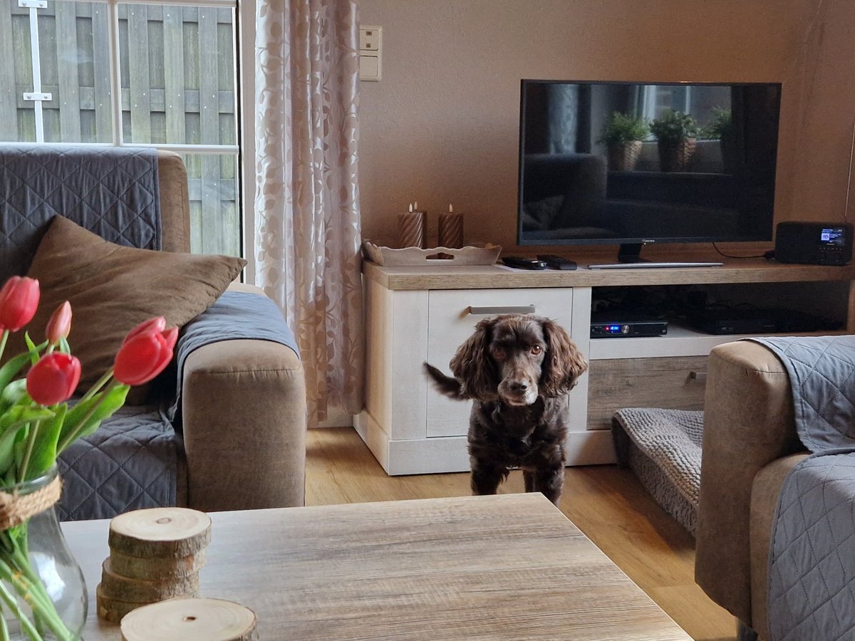 Irma van Hoeven tweet media